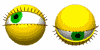 Avatar de Usuario